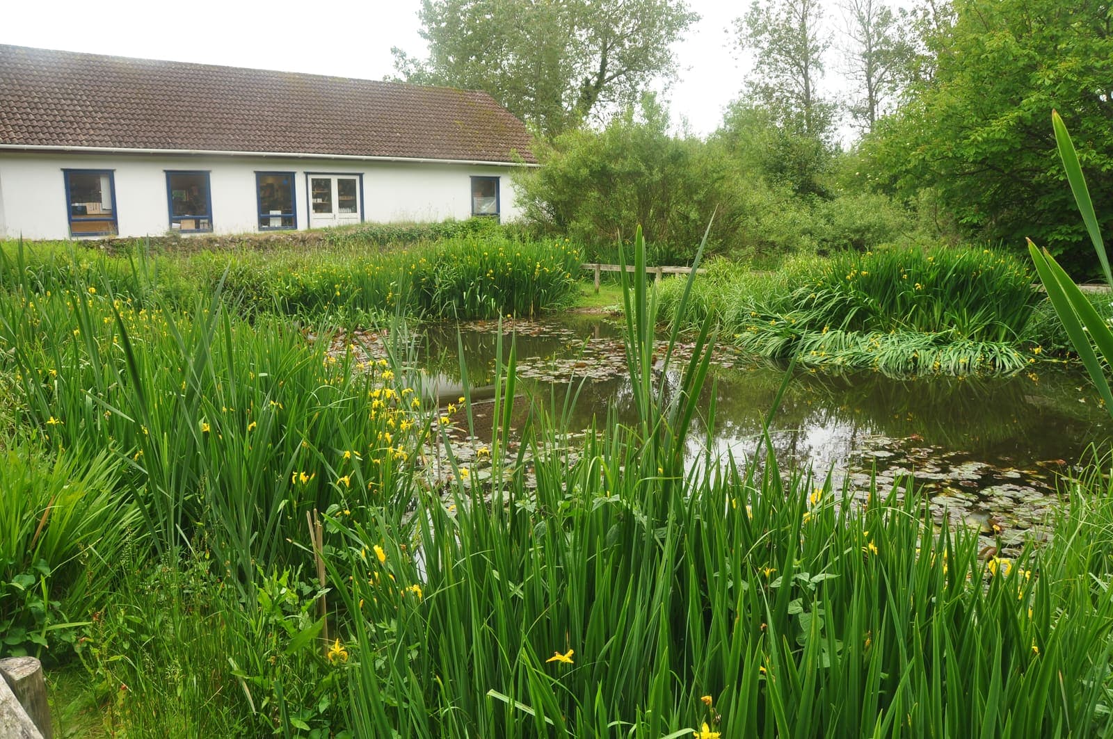 Broadfield Farm park setting